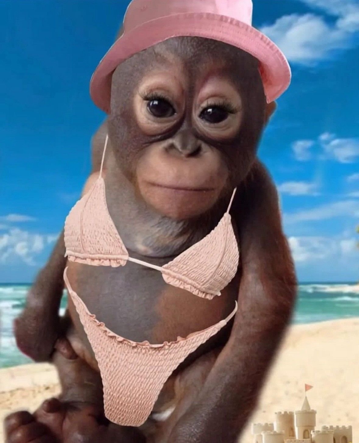 Aesthetic monkey pfp with sunset pink and blue gradient for artistic TikTok and Discord profiles