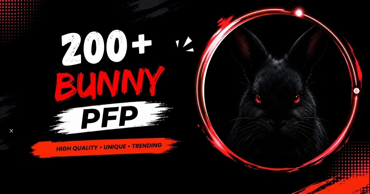 200+ Bunny PFP: Cute, Aesthetic & Kawaii Profile Pictures 2026