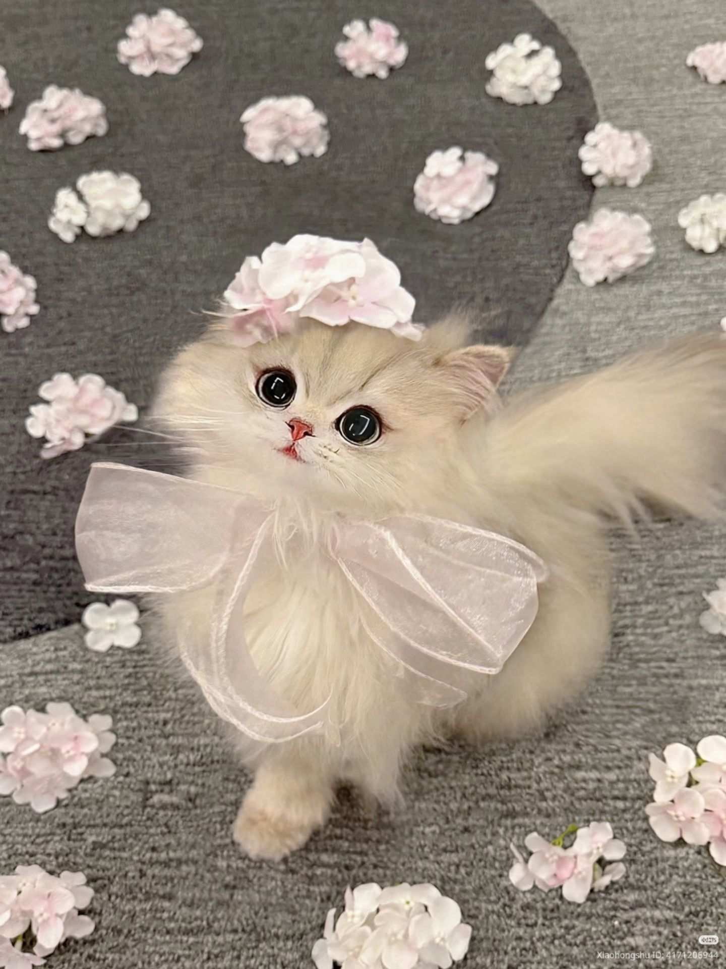 Romantic coquette girl pfp with blush rose bow for aesthetic Discord and TikTok avatars