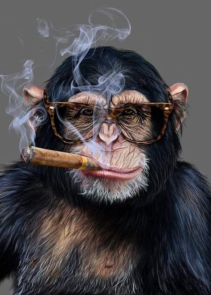 Dark aesthetic monkey pfp with purple smoke for bold Discord, TikTok, and gaming profile use
