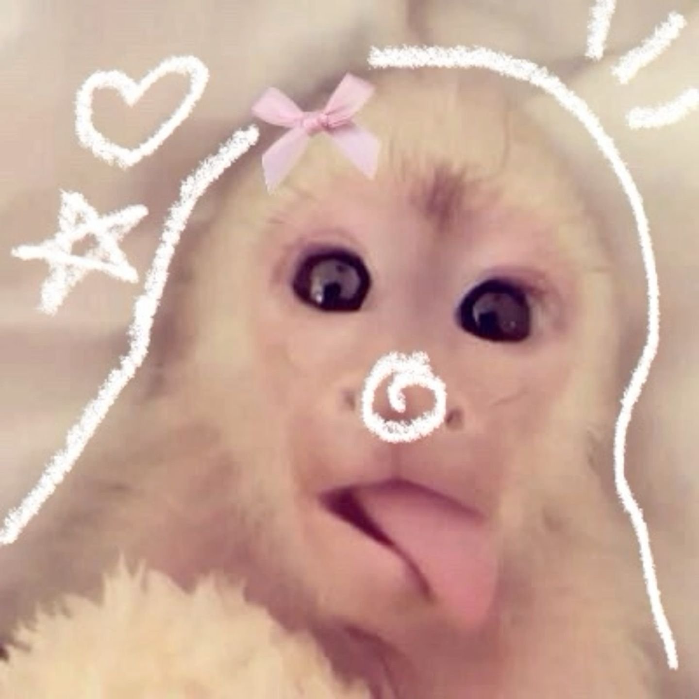 Kawaii monkey avatar with pastel stars and blush cheeks for soft Instagram and Discord aesthetics
