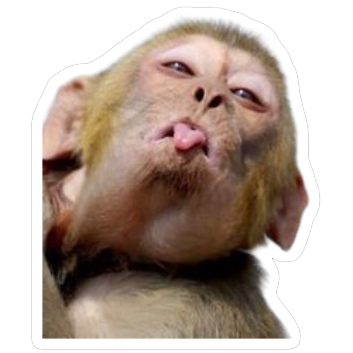 Y2K monkey avatar with chrome accents and glossy tones for retro TikTok and Discord aesthetics