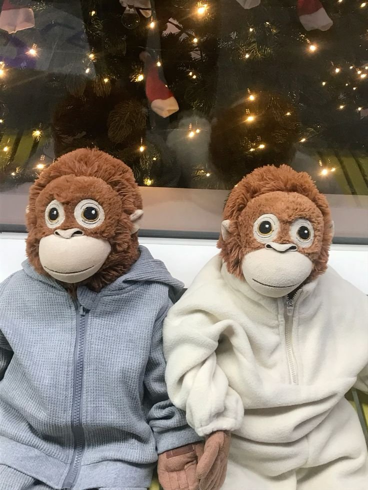 Matching monkey duo avatar with moon theme for coordinated Discord and Instagram profiles