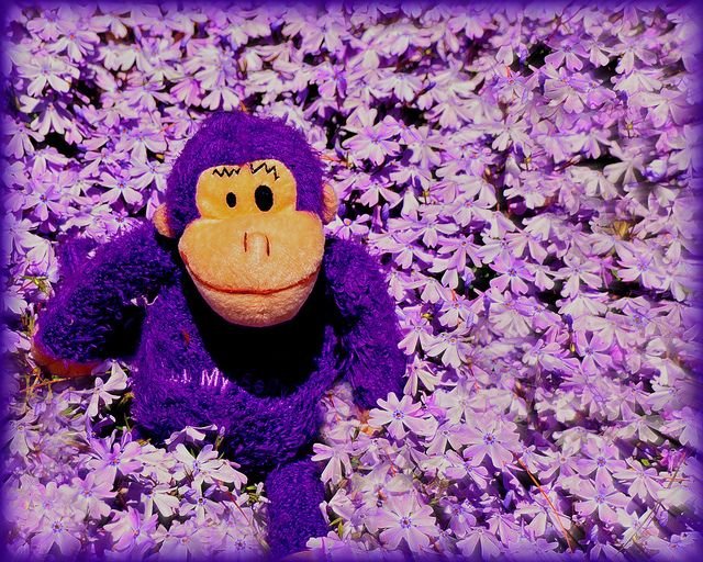 Aesthetic monkey pfp with lavender glow and soft focus for dreamy Instagram and TikTok profiles