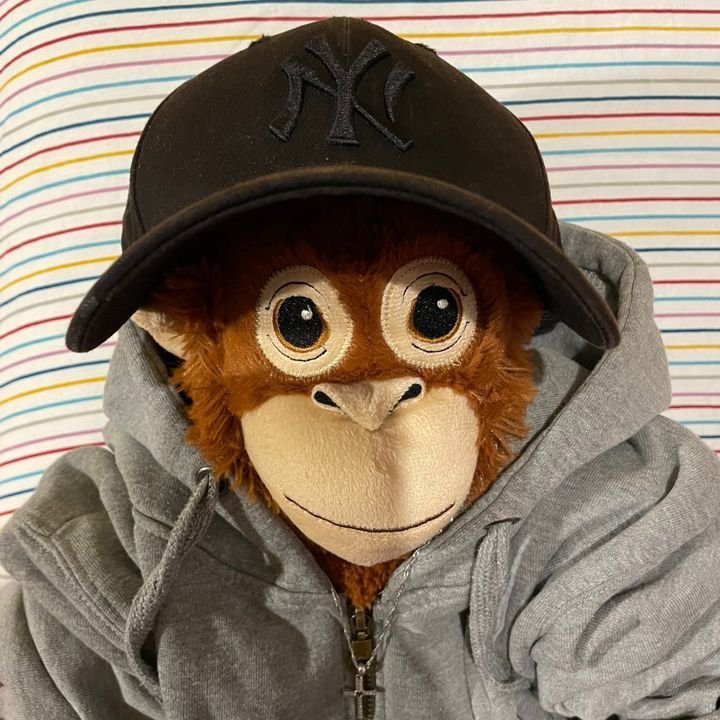 Cool monkey pfp in black hoodie and chain for edgy Discord, Steam, and gaming profiles
