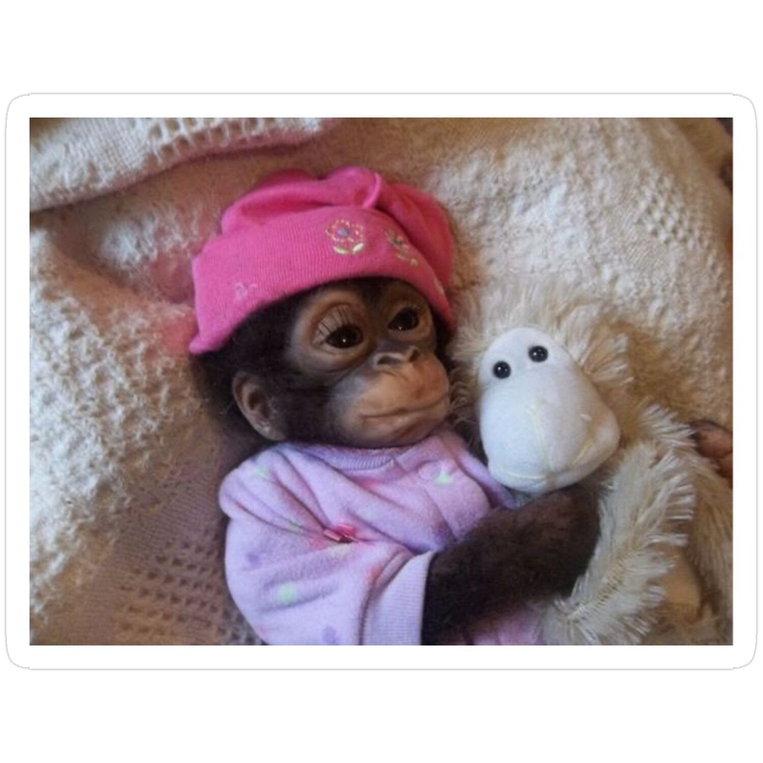 Cozy monkey pfp wearing a soft sweater for cute Discord, TikTok, and wholesome gaming profiles