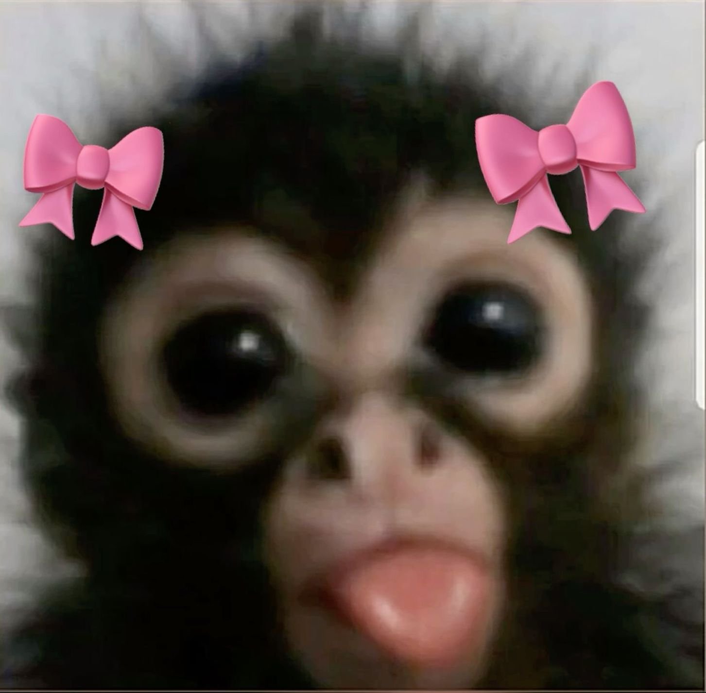 Kawaii monkey pfp with heart accent and rosy blush for adorable social media profile pictures