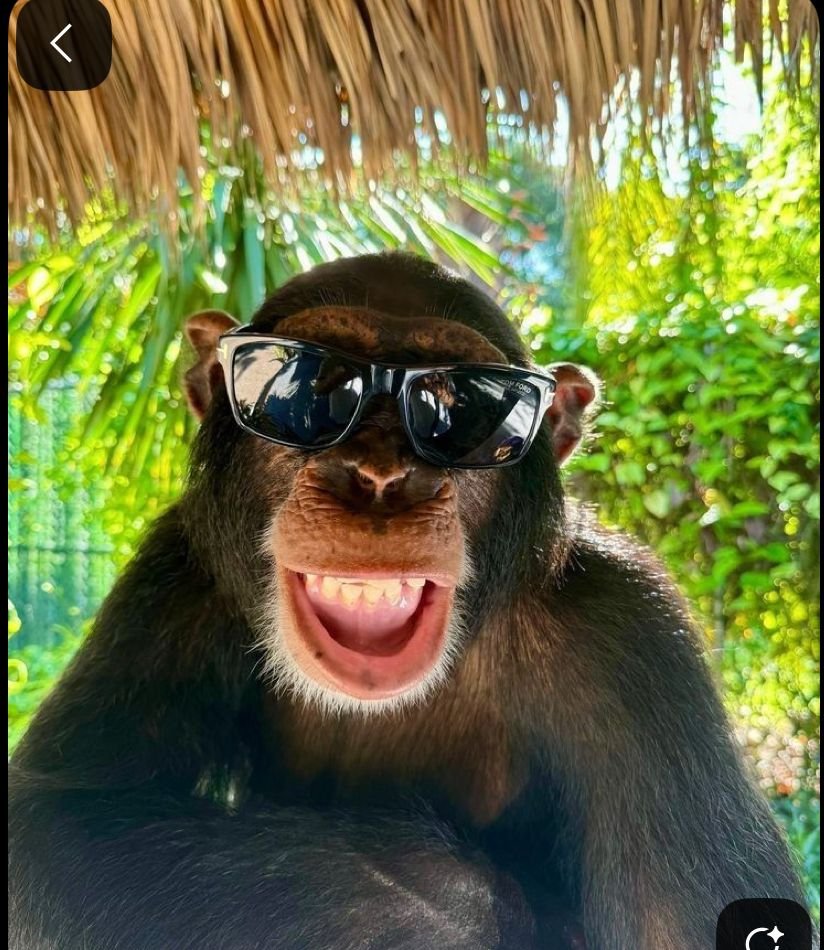 Funny monkey pfp with sunglasses and smug smirk for meme-heavy Discord or TikTok profiles
