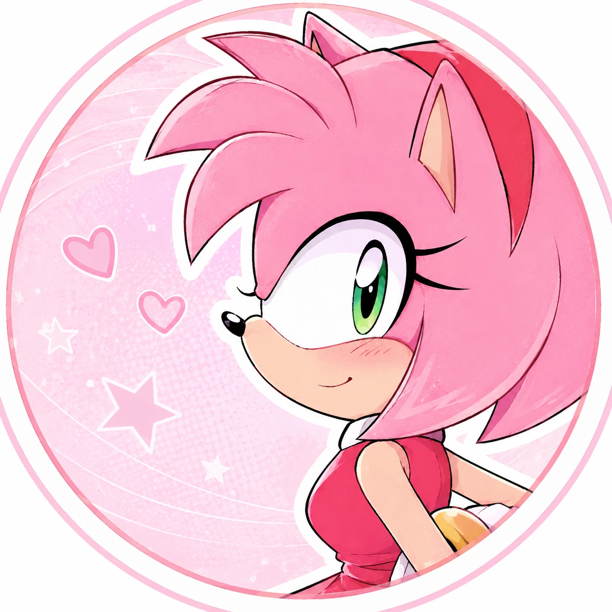 Amy Rose matching Sonic icon set pink PFP pair.