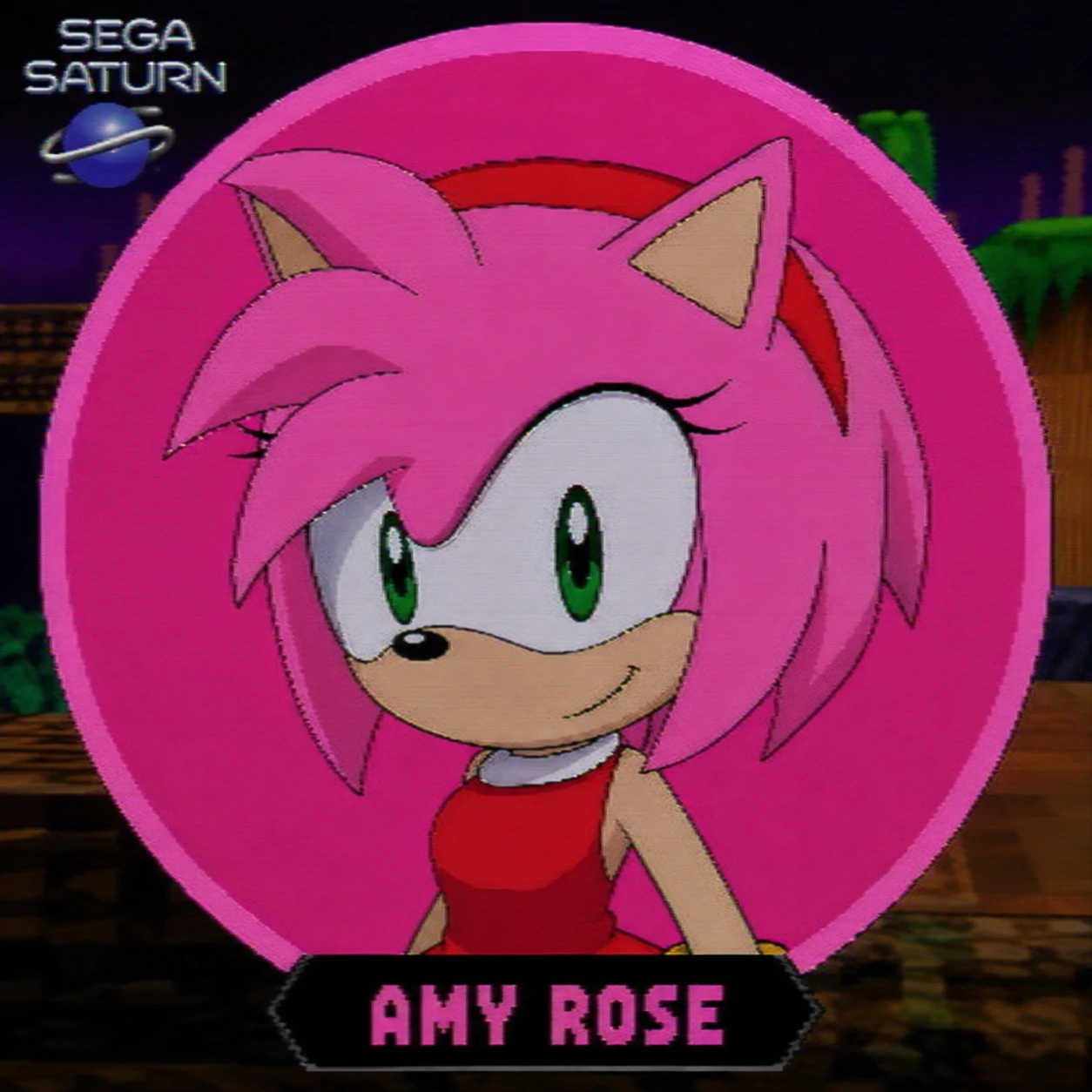 Classic early style Amy Rose Y2K Saturn PFP icon.