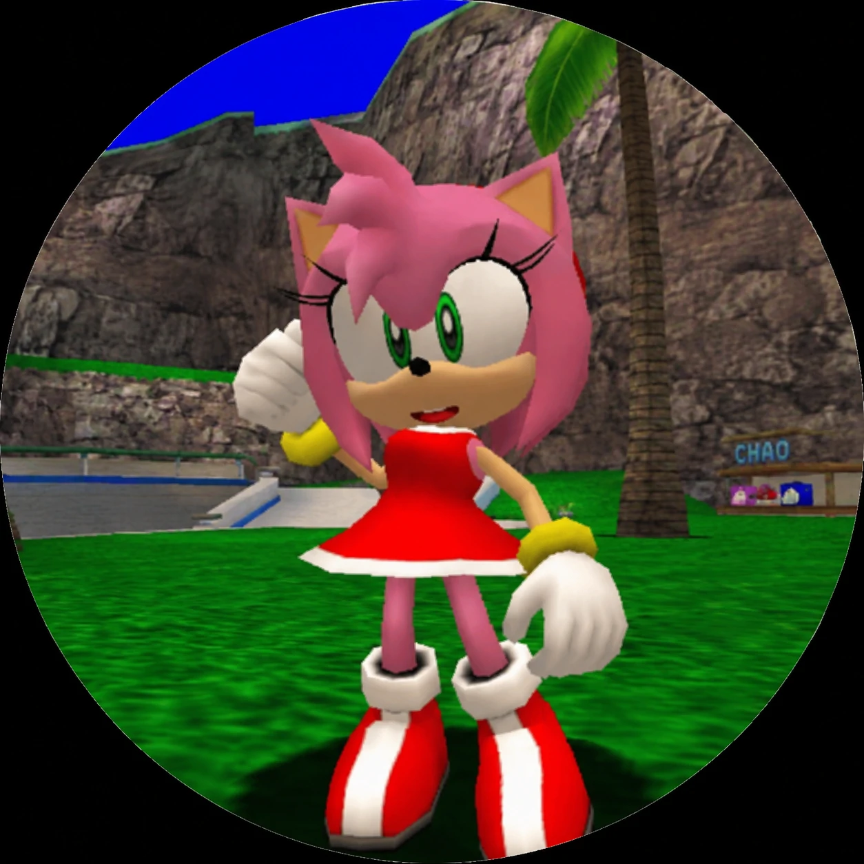 Y2K game screenshot style Amy Rose PFP icon.
