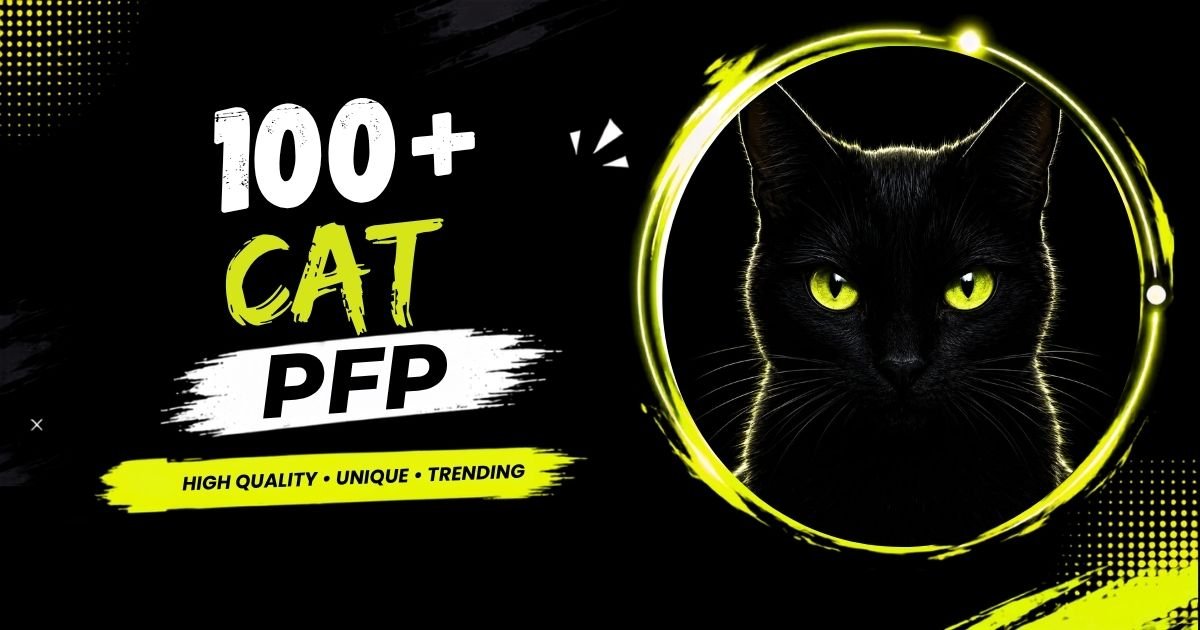 100+ Cat PFP: Cute, Aesthetic & Funny Profile Pictures 2026