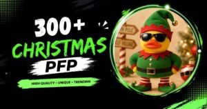 Christmas PFP: Aesthetic, Anime, Cute, Matching & Funny