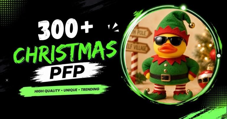 Christmas PFP: Aesthetic, Anime, Cute, Matching & Funny
