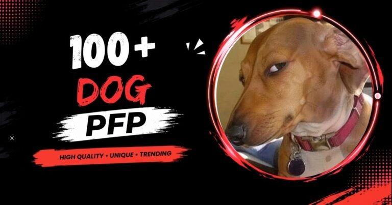 Dog PFP: Cute, Funny, Aesthetic, Anime, Discord & Matching