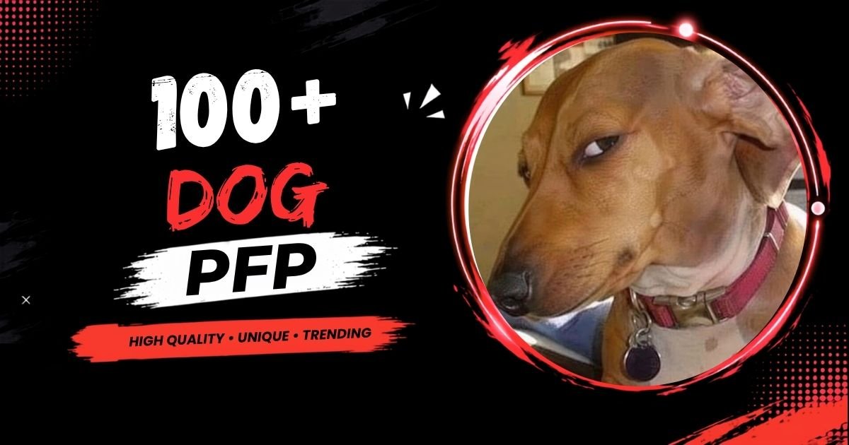 100+ Dog PFP: Cute, Funny, Aesthetic, Anime, Discord & Matching