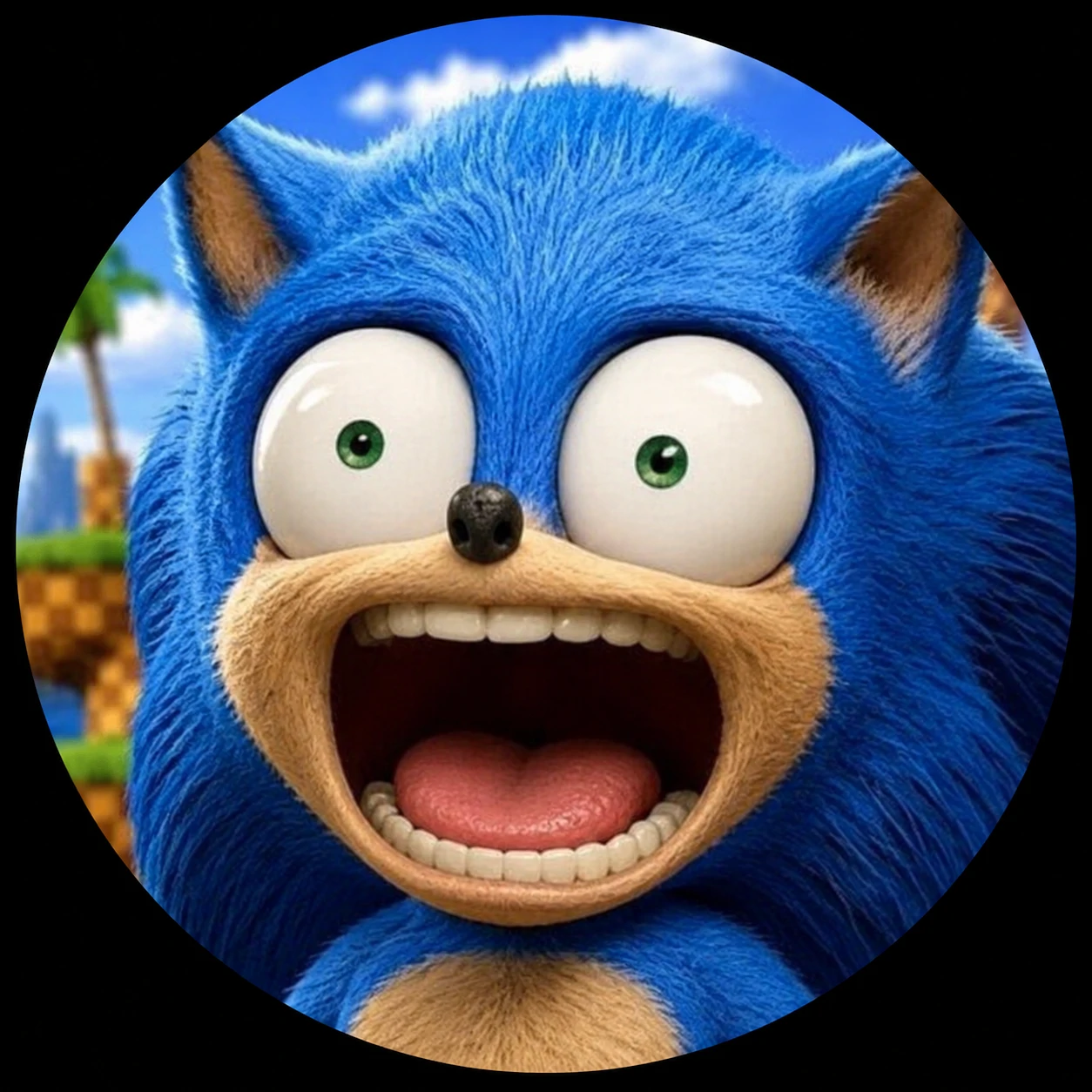 Funny Sonic meme PFP with exaggerated Sonic face.